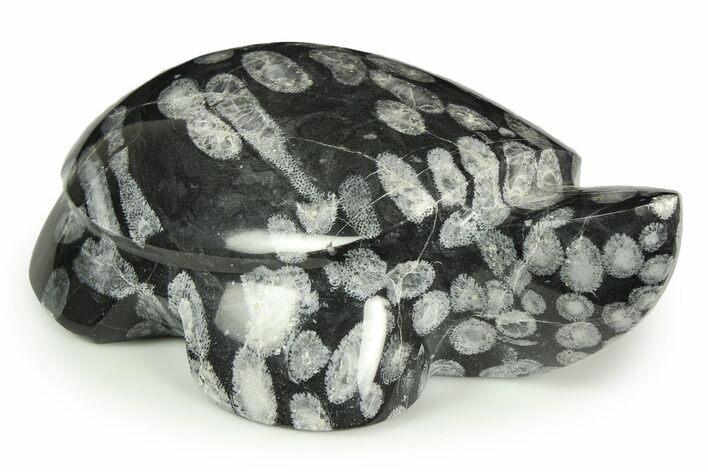 Carved Fossil Coral Turtle - Alaska #309506